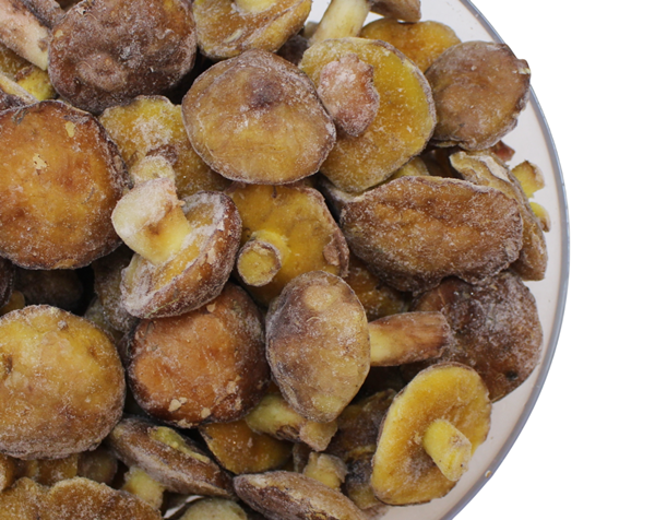 Гриби маслюки заморожені, 0,5кг